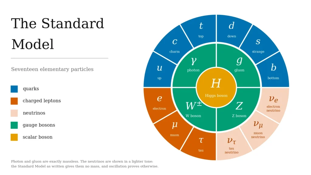 Radial chart of the seventeen Standard Model particles: twelve fermions in the outer ring, four gauge bosons in the inner ring, and the Higgs boson at the centre. Neutrinos are shown in a lighter tone because the Standard Model gives them no mass.